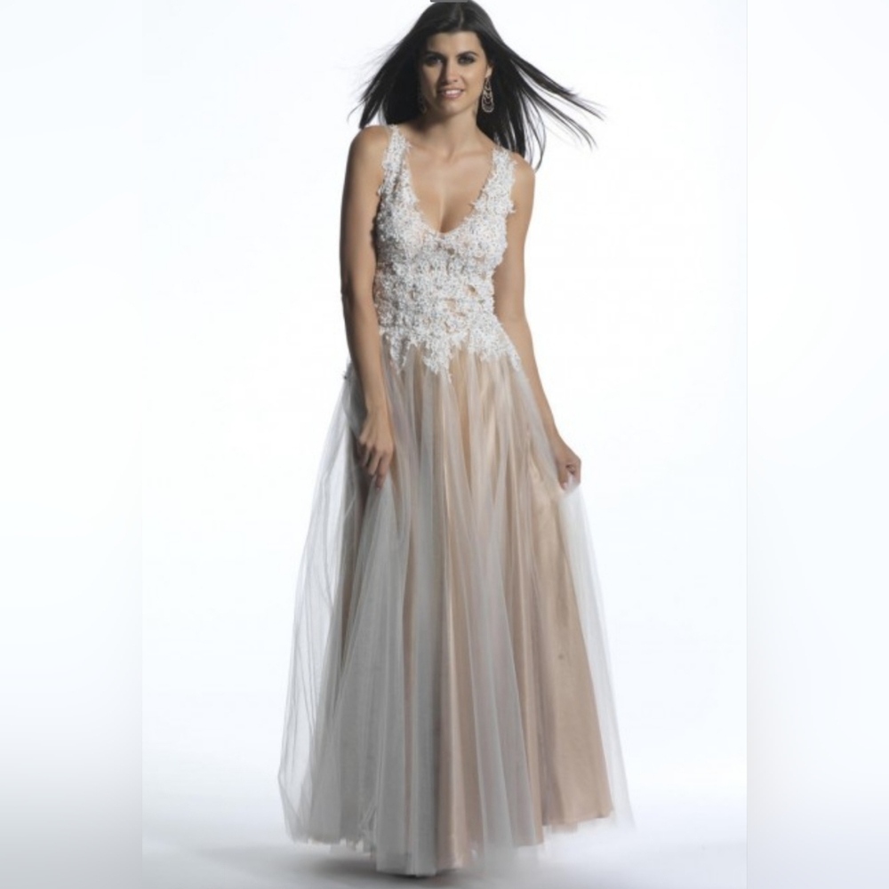 Elegant Nude Lace Evening Gown - Picture 2 of 6